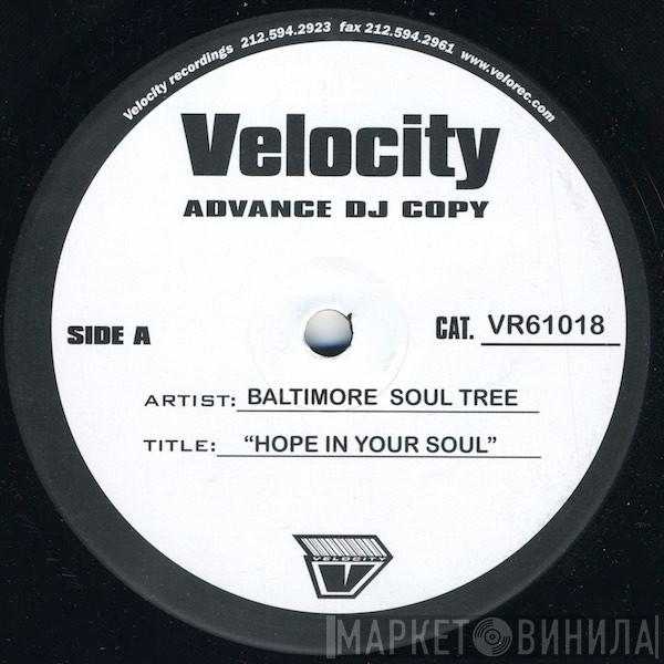 Baltimore Soul Tree - Hope In Your Soul