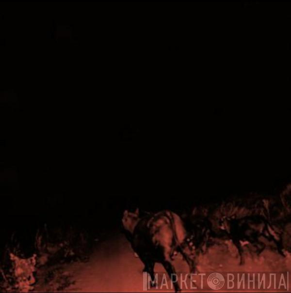 Bambara  - Shadow on Everything