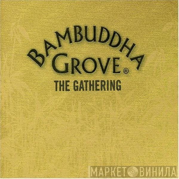  - Bambuddha Grove - The Gathering