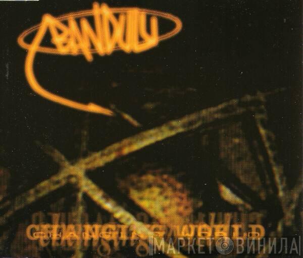 Bandulu - Changing World