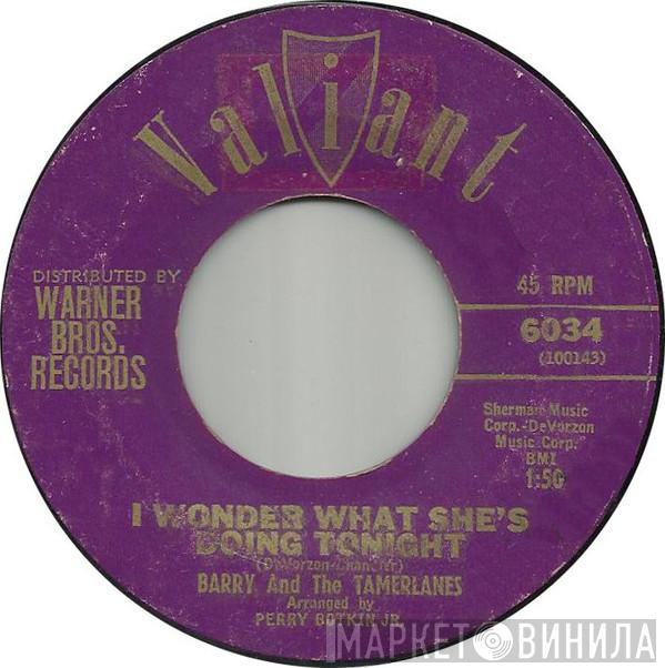 Barry And The Tamerlanes - I Wonder What She's Doing Tonight