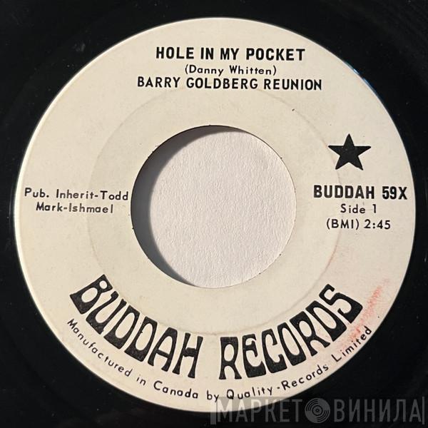 Barry Goldberg Reunion - Hole In My Pocket / Sittin' In Circles