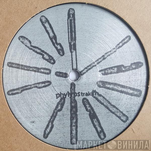 Basic Channel - Phylyps Trak II