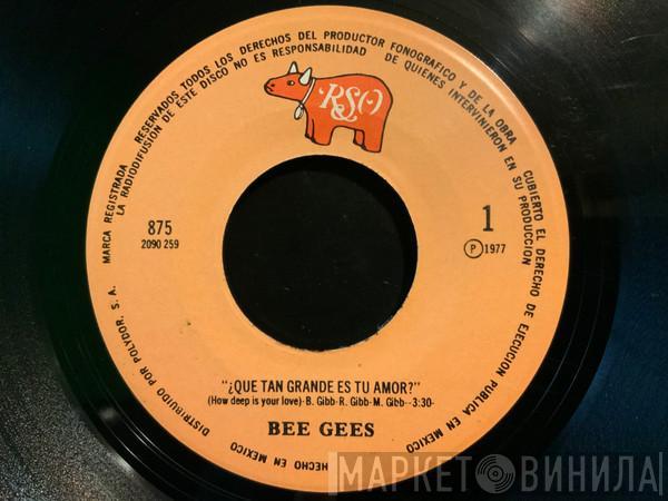  Bee Gees  - ¿Que Tan Grande Es Tu Amor? = How Deep Is Your Love