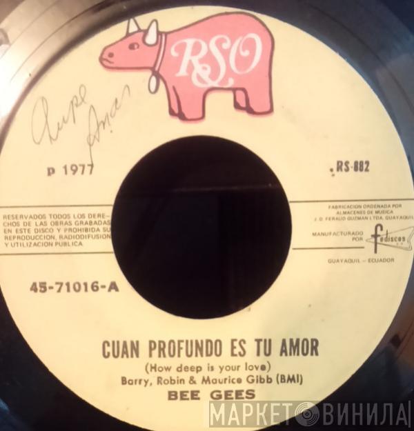  Bee Gees  - Cuan Profundo Es Tu Amor = How Deep Is Your Love