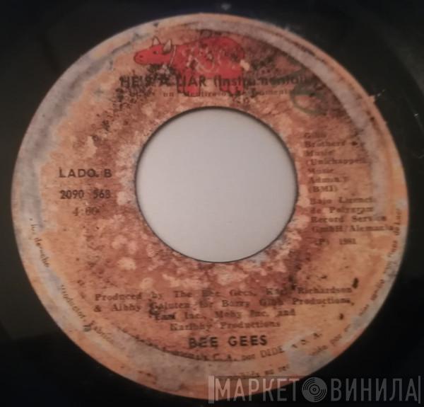  Bee Gees  - He's A Liar