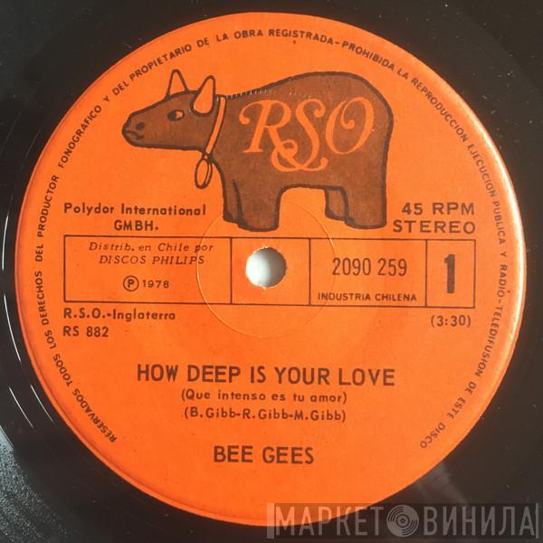  Bee Gees  - How Deep Is Your Love = Que Intenso Es Tu Amor