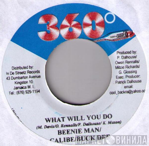Beenie Man, Calibe, Buck Dee - What Will You Do