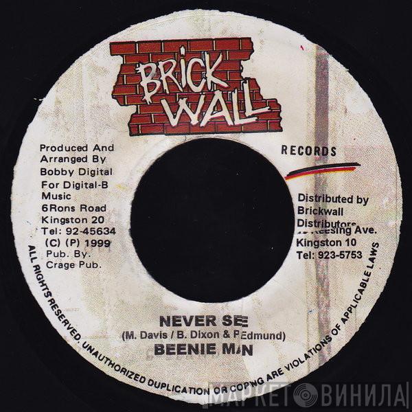Beenie Man - Never See