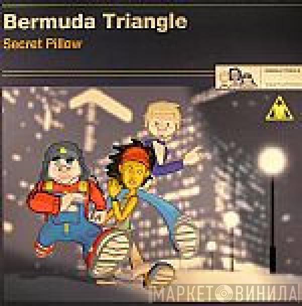 Bermuda Triangle  - Secret Pillow