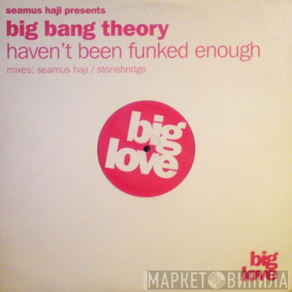 Big Bang Theory - Haven't Been Funked Enough