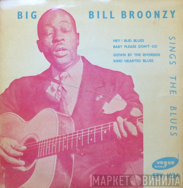 Big Bill Broonzy - Sings The Blues