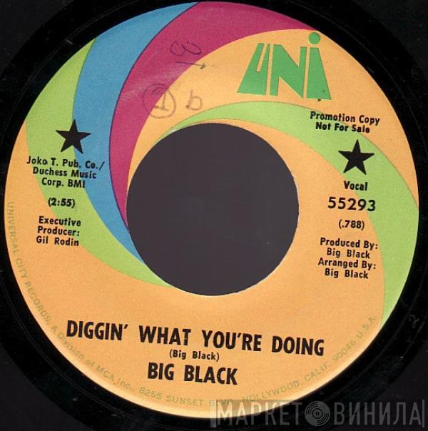 Big Black  - Diggin' What You're Doing / Long Hair