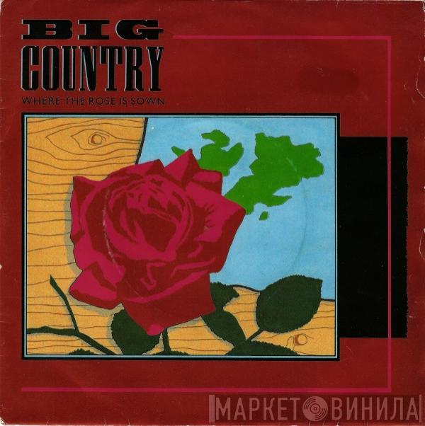 Big Country - Where The Rose Is Sown