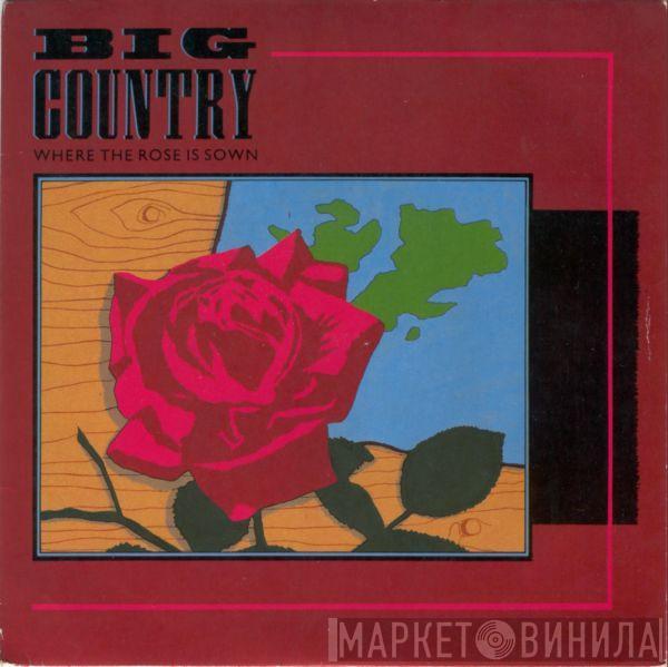 Big Country - Where The Rose Is Sown