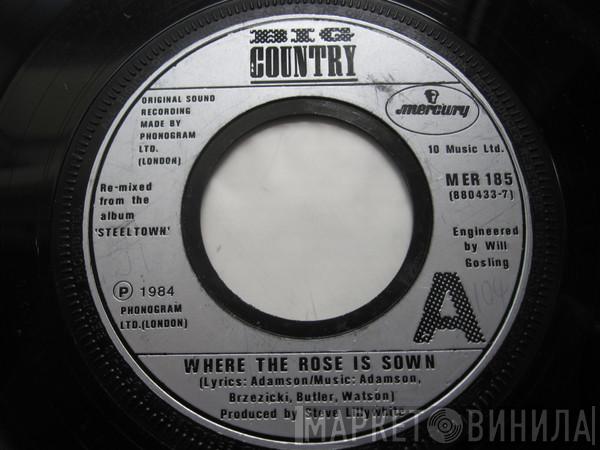Big Country - Where The Rose Is Sown