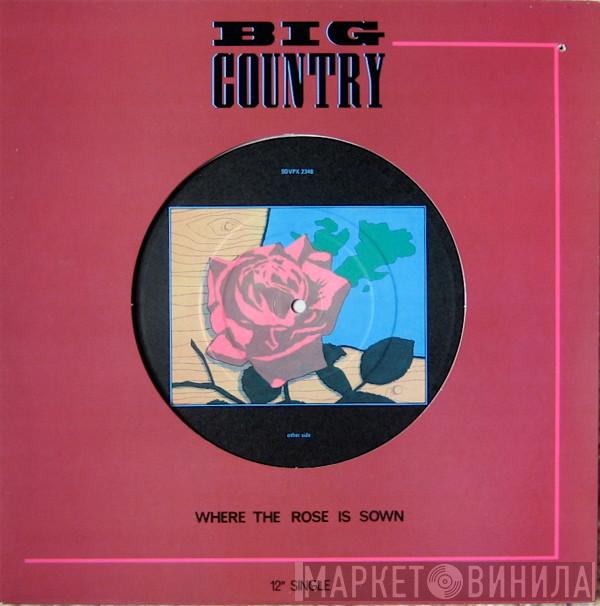 Big Country  - Where The Rose Is Sown