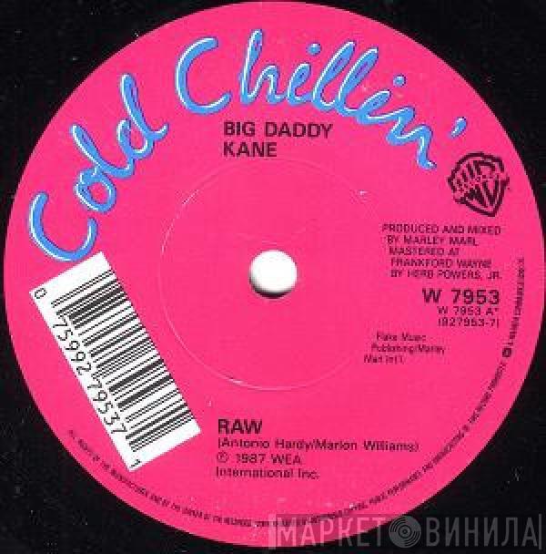  Big Daddy Kane  - Raw / Word To The Mother (Land)