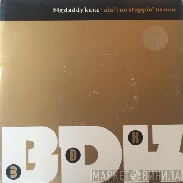  Big Daddy Kane  - Ain't No Stoppin' Us Now