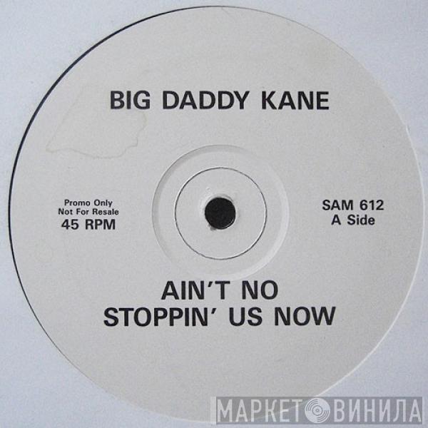  Big Daddy Kane  - Ain't No Stoppin' Us Now