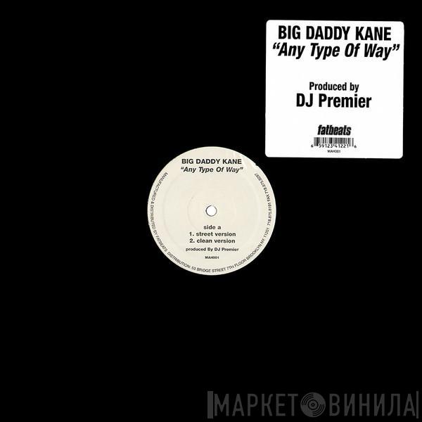 Big Daddy Kane - Any Type Of Way