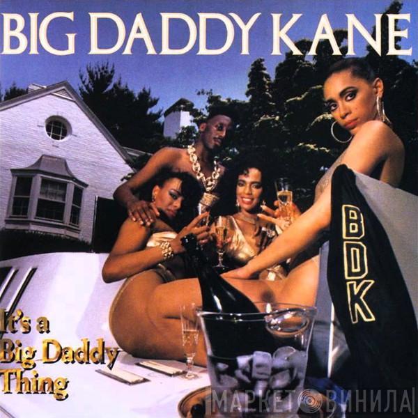 Big Daddy Kane - It's A Big Daddy Thing