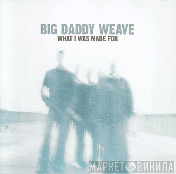 Big Daddy Weave - What I Was Made For