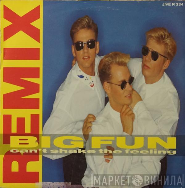  Big Fun  - Can't Shake The Feeling (Remix)