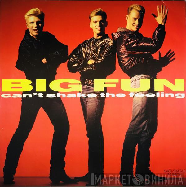  Big Fun  - Can't Shake The Feeling