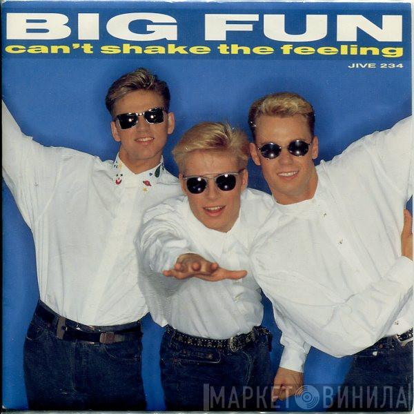 Big Fun - Can't Shake The Feeling