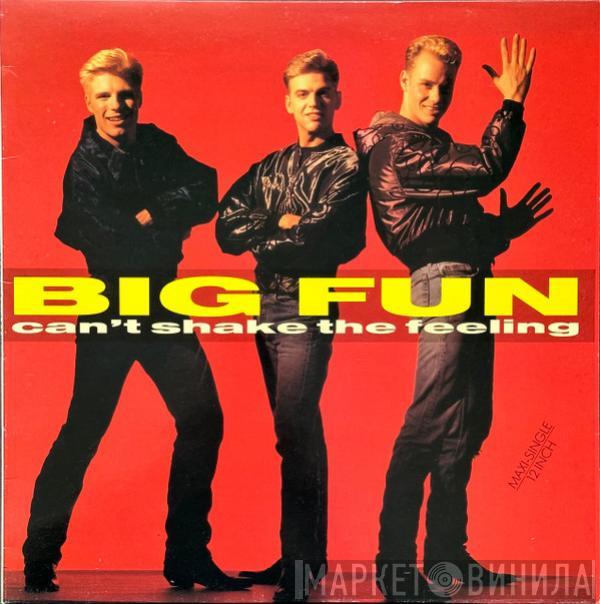  Big Fun  - Can't Shake The Feeling