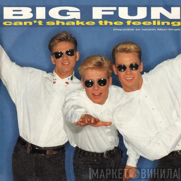  Big Fun  - Can't Shake The Feeling