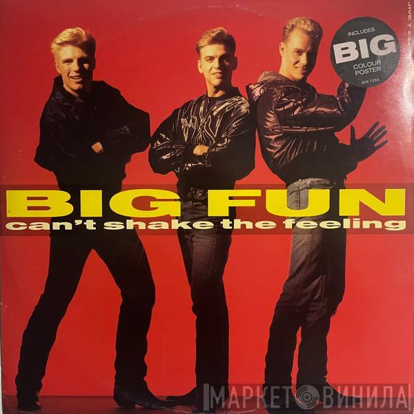 Big Fun - Can't Shake The Feeling