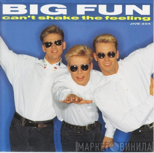 Big Fun - Can't Shake The Feeling