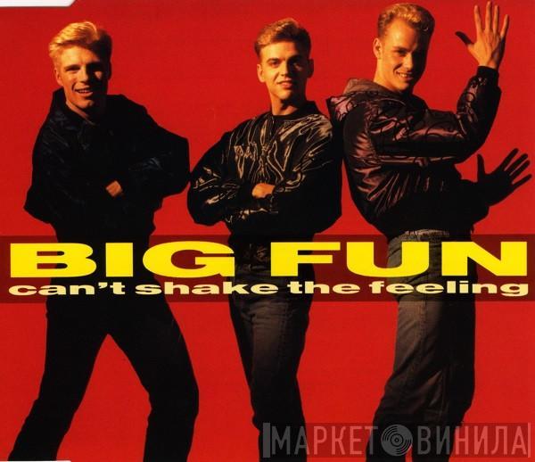  Big Fun  - Can't Shake The Feeling