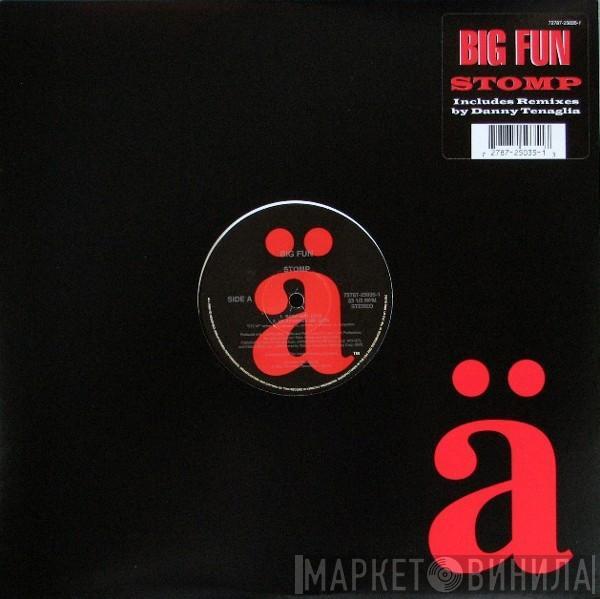 Big Fun II - Stomp