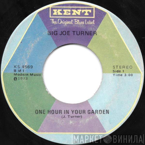 Big Joe Turner - One Hour In Your Garden