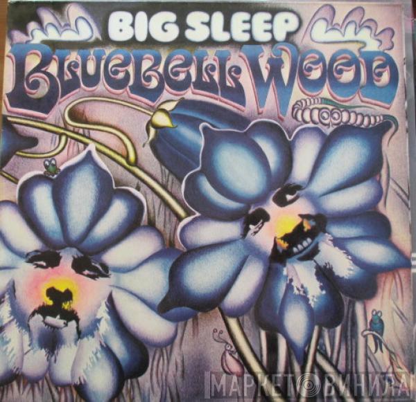 Big Sleep  - Bluebell Wood