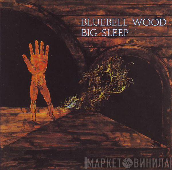 Big Sleep   - Bluebell Wood