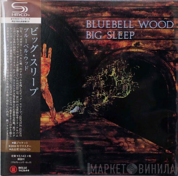  Big Sleep   - Bluebell Wood