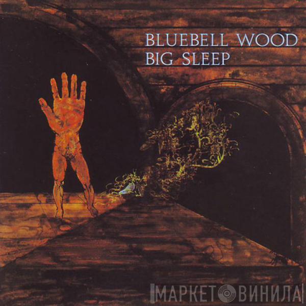Big Sleep  - Bluebell Wood
