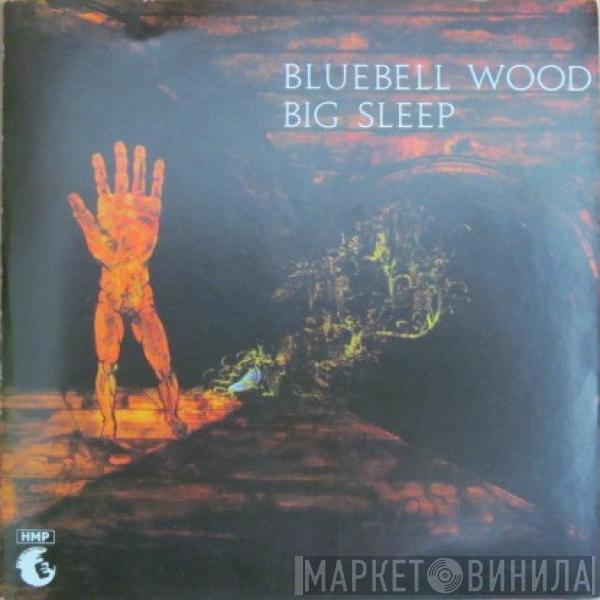  Big Sleep   - Bluebell Wood