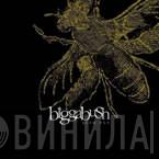 Bigga Bush - Acid Fly