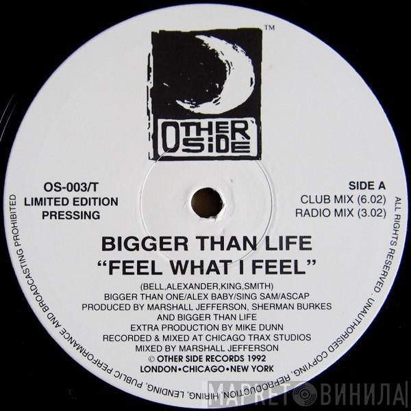 Bigger Than Life  - Feel What I Feel / High And Mighty