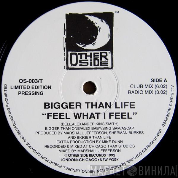 Bigger Than Life - Feel What I Feel / High And Mighty