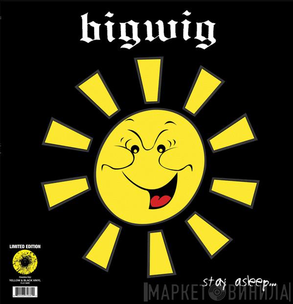 Bigwig - Stay Asleep