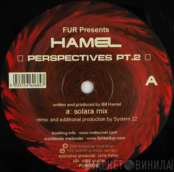 Bill Hamel - Perspectives Pt. 2