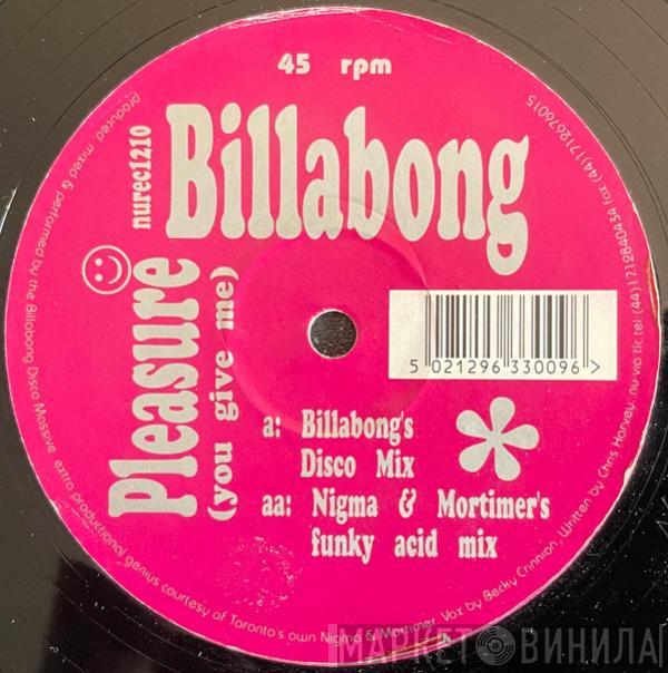 Billabong - Pleasure (You Give Me)