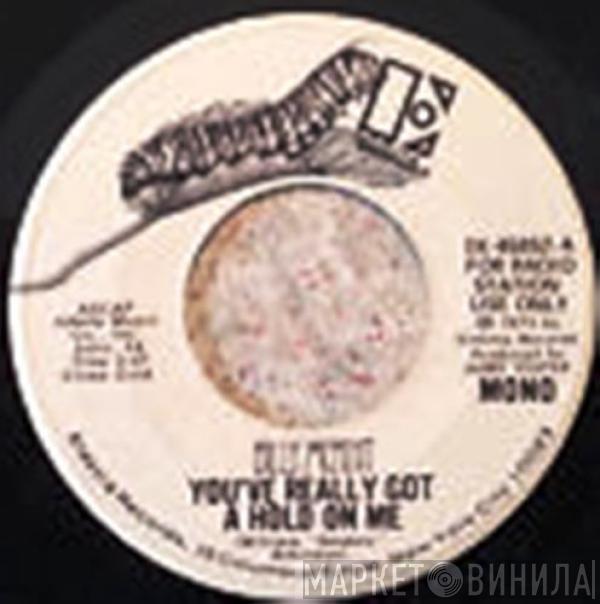 Billy Mernit - You've Really Got A Hold On Me