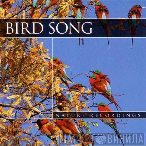  - Bird Song